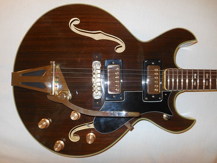 HollowBodyRosewood Picture 7